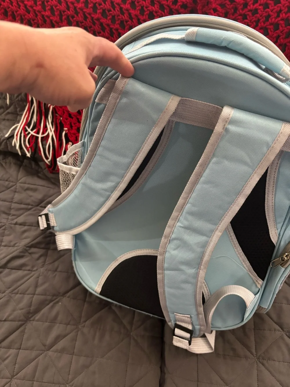N/A pet backpack