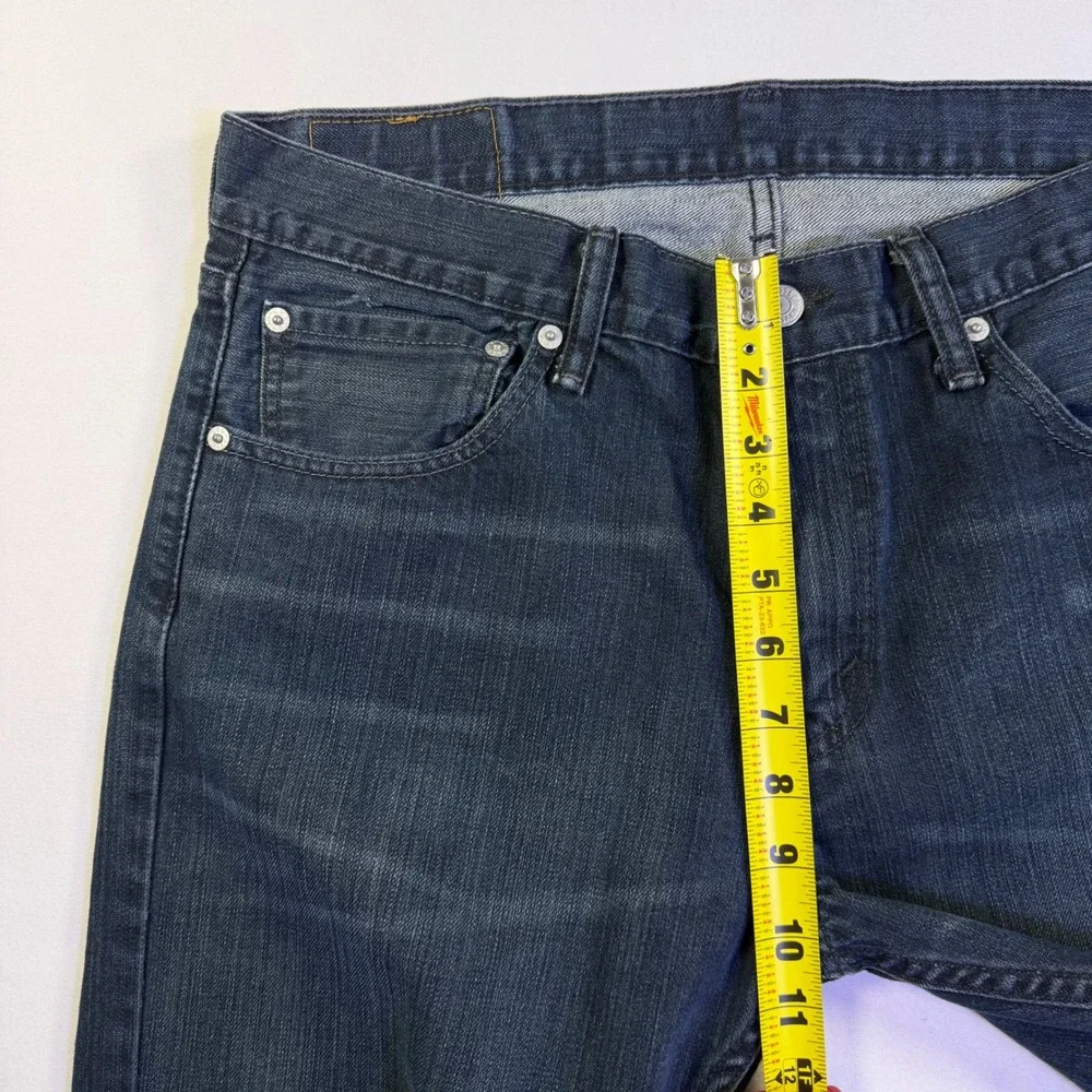 Levis levis 527