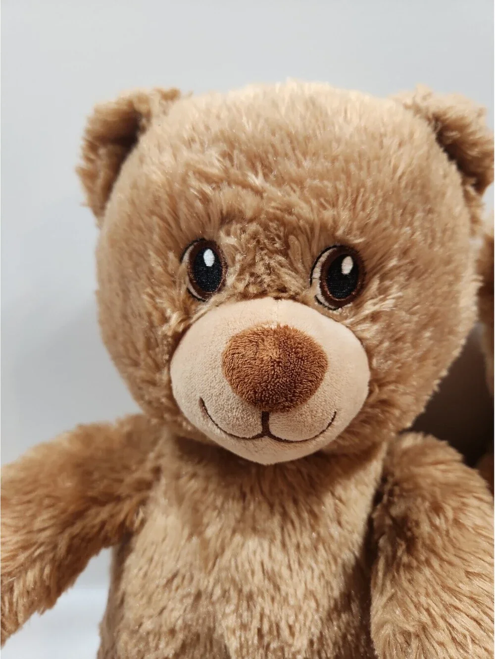 N/A bear 13