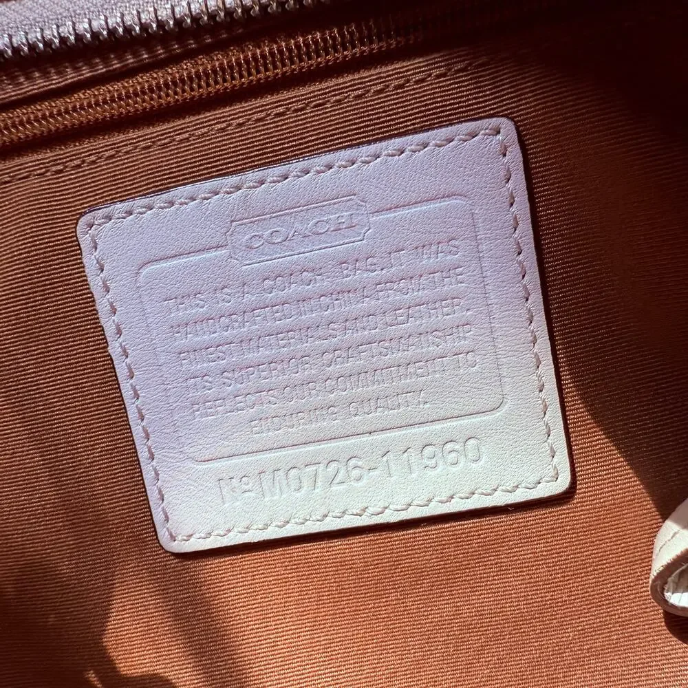 Coach classic y2k