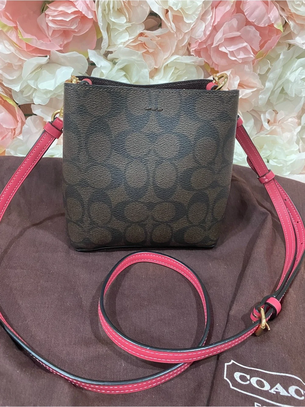 Coach mini crossbody