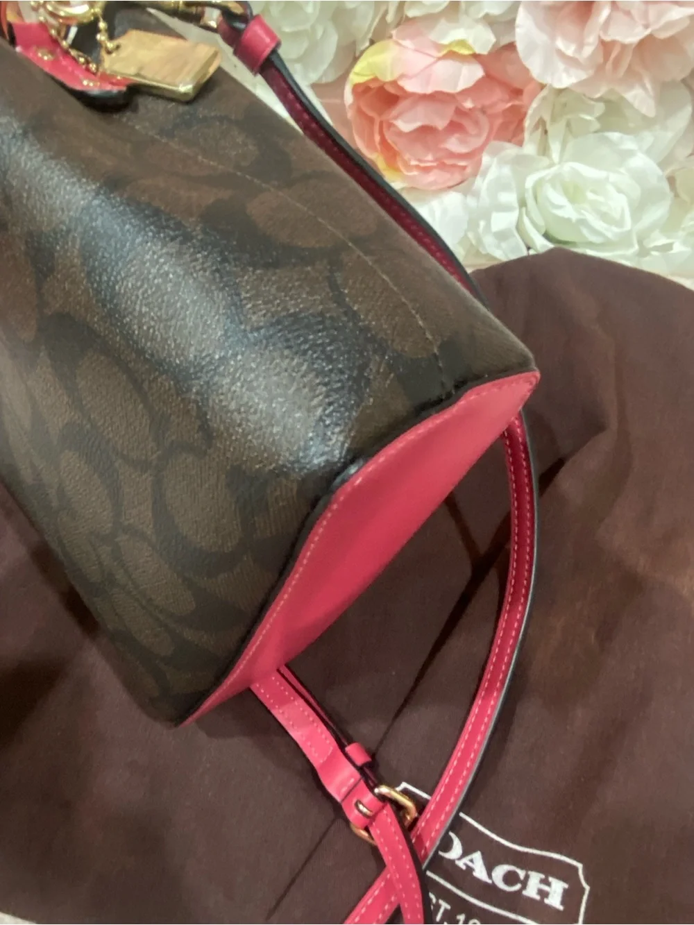 Coach mini crossbody