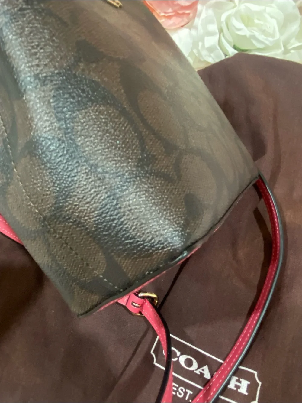 Coach mini crossbody