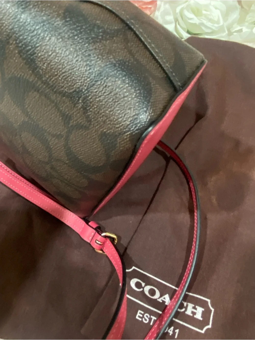 Coach mini crossbody
