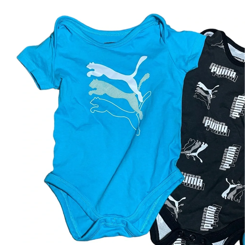 Puma vibrant new