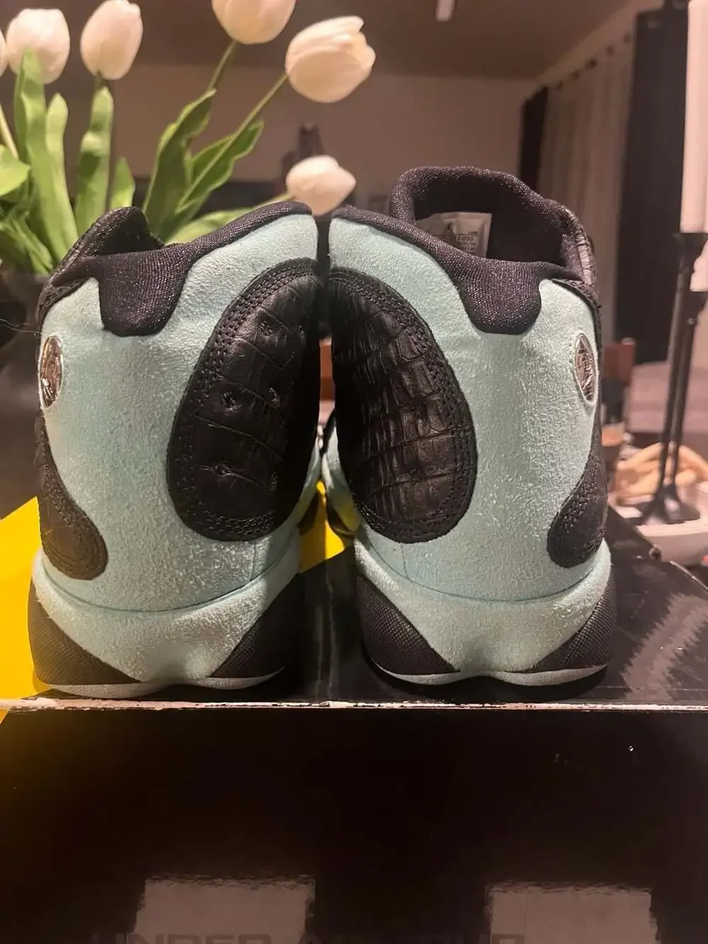 Jordan air 13