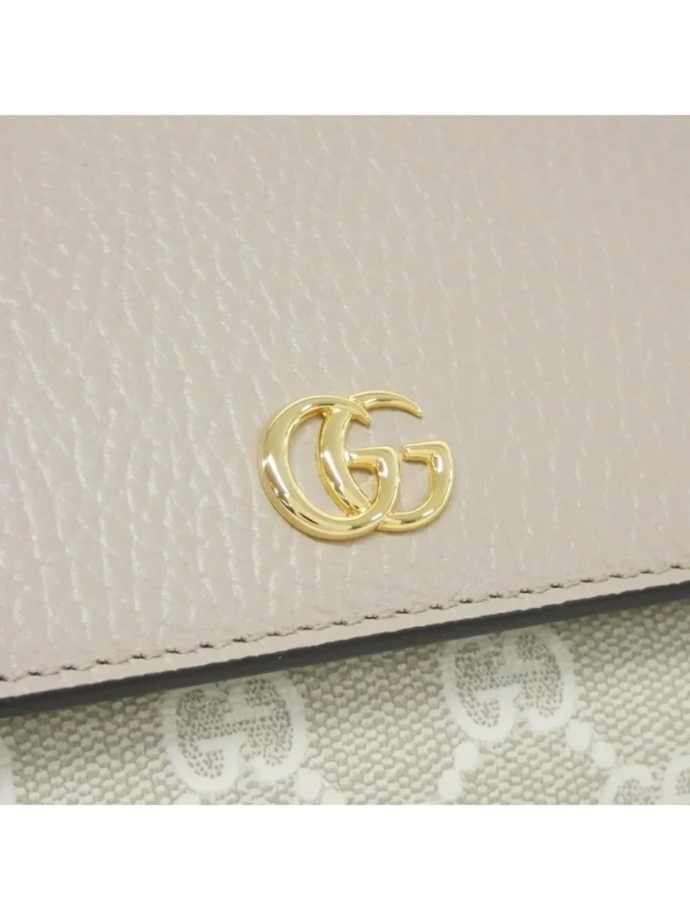 Gucci stains scratches pet