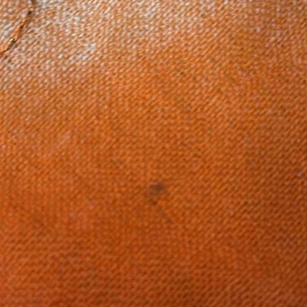 pashmina see bold