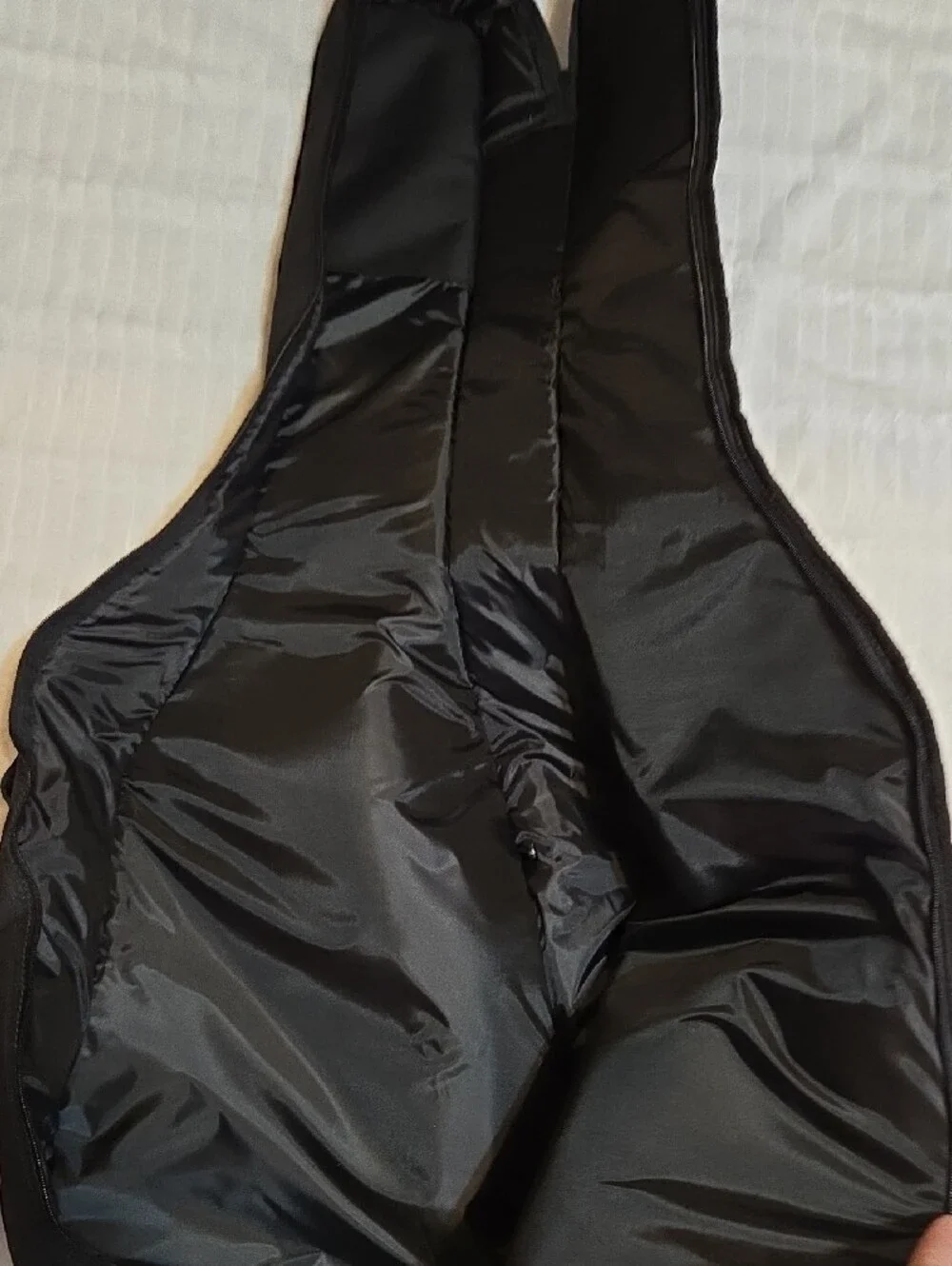 Gator cases black guitar
