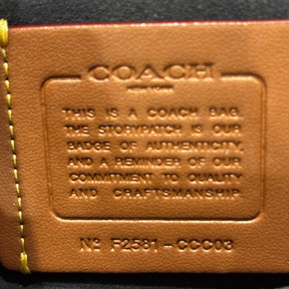 Coach crossbody leopard