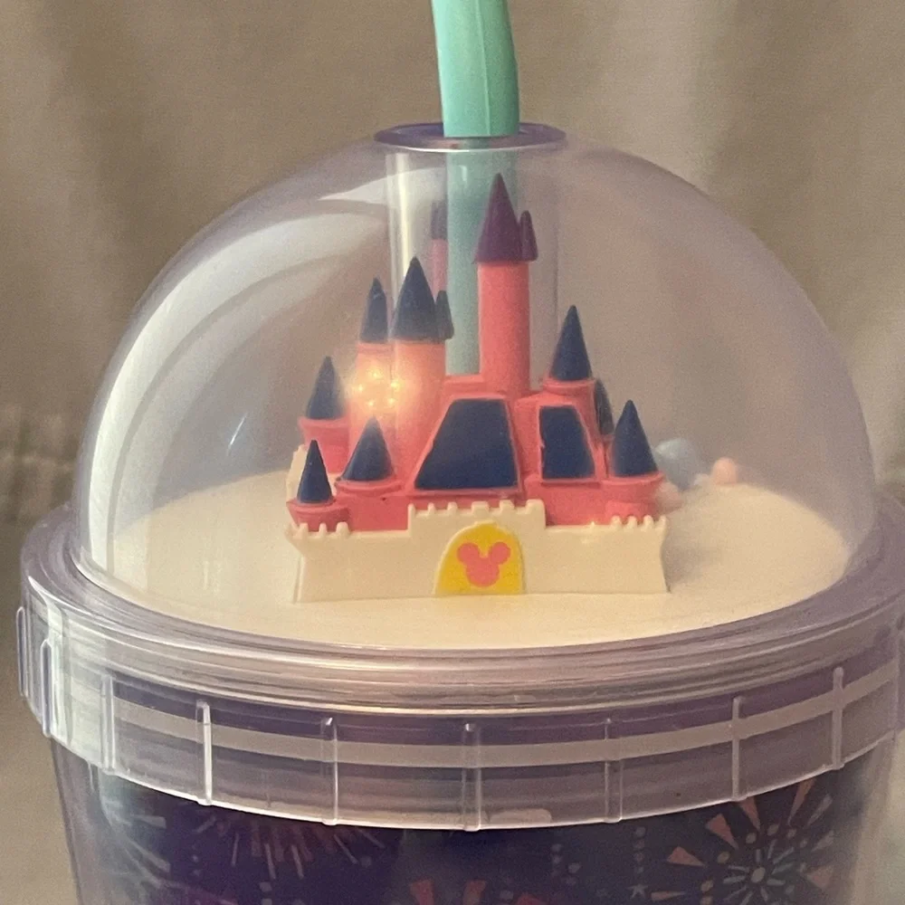 Disney product parks