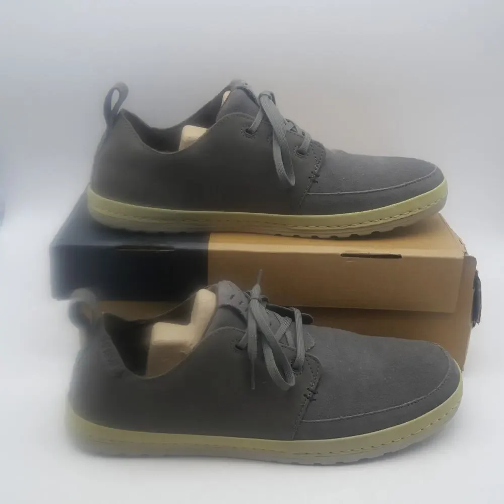 Teva purchase by