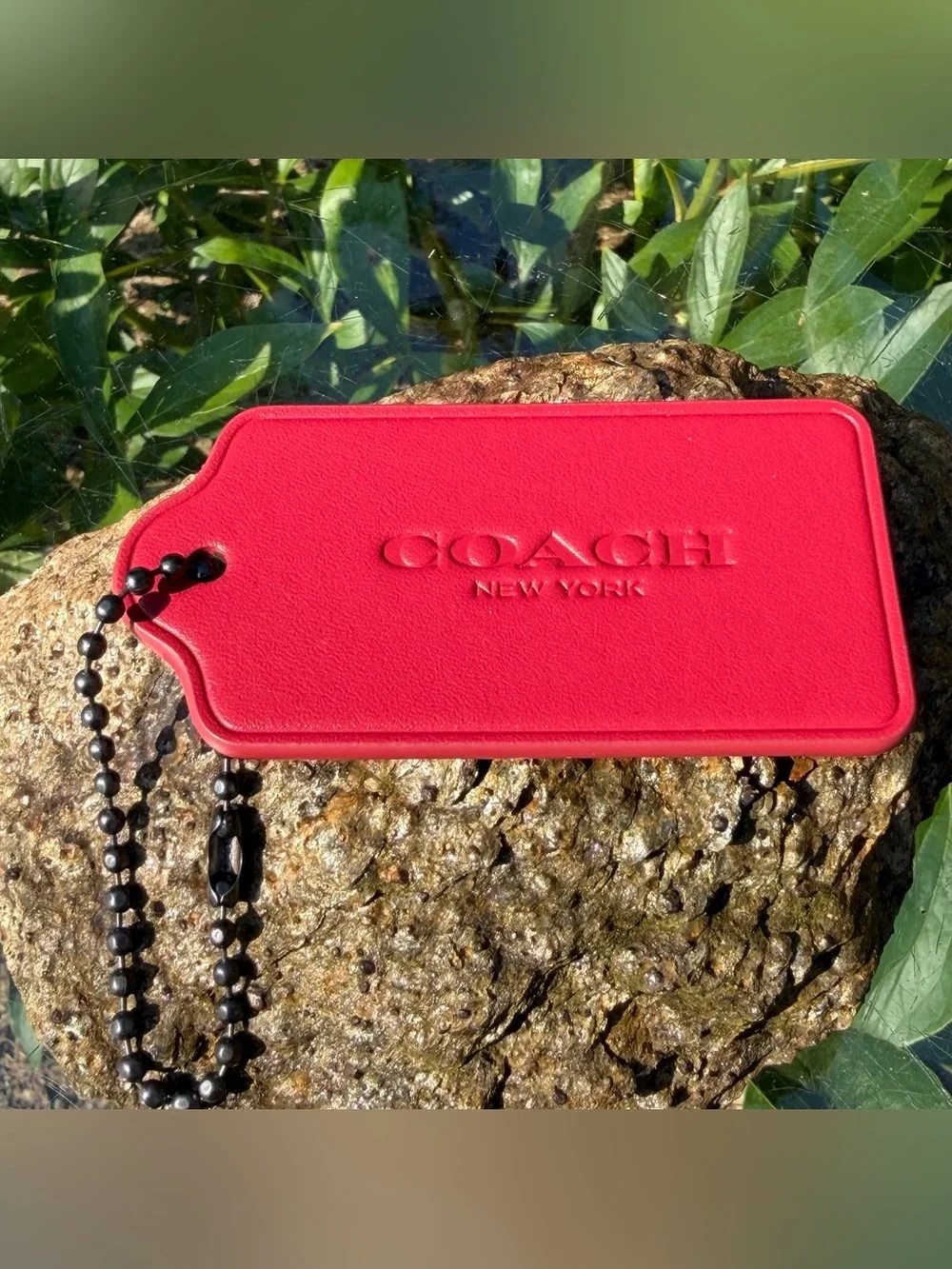 Coach new large