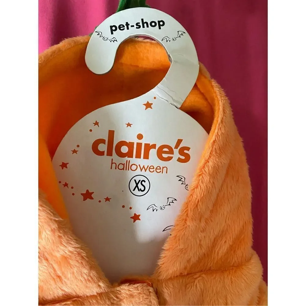Claires claires dog