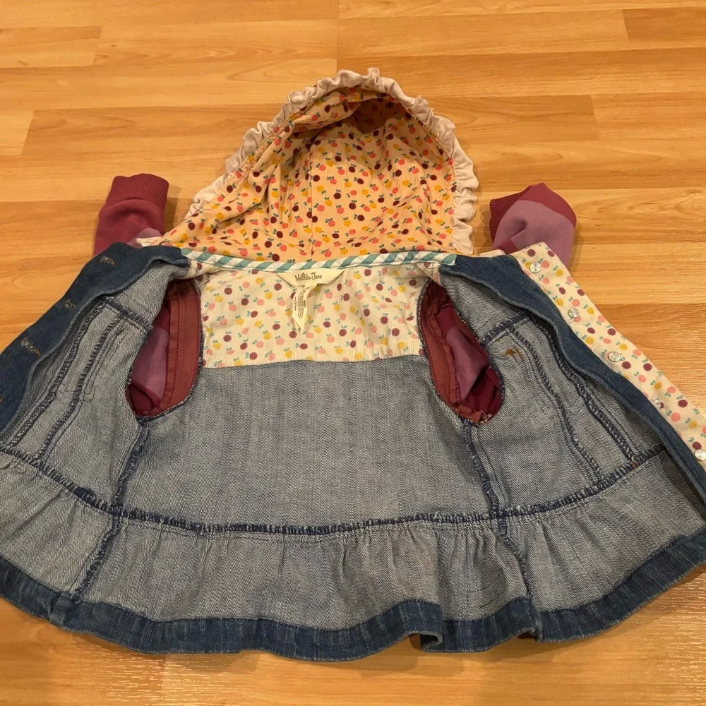 Matilda Jane size 2t