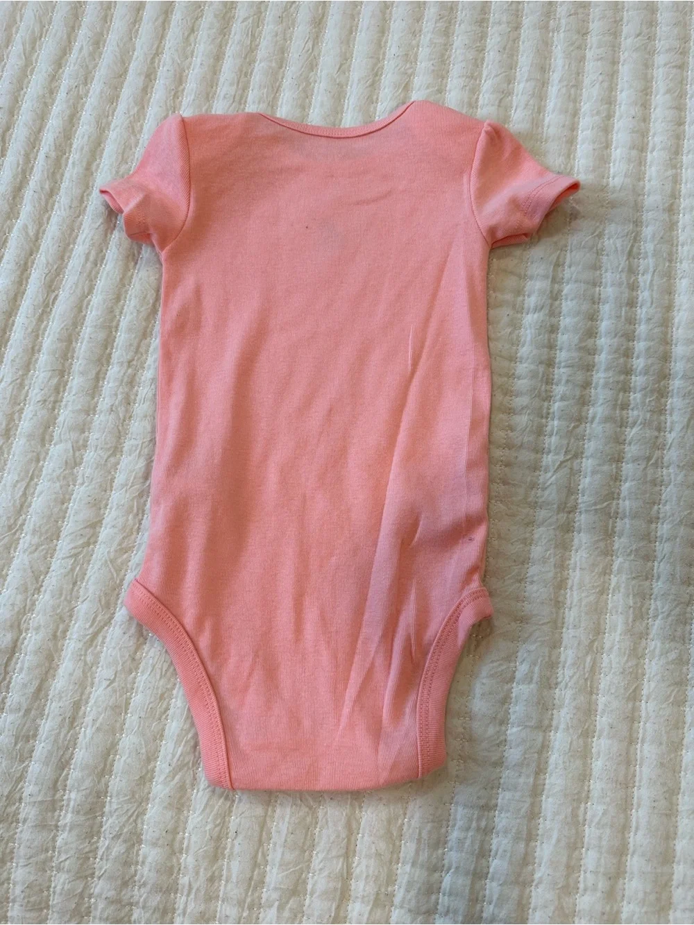 Carters soft coral