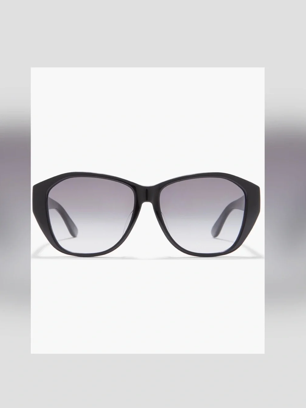Saint Laurent stylish cat