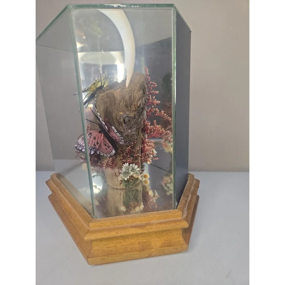 Vintage Glass & Wood Hexagonal Butterfly Taxidermy Diorama Display Yellow Pink