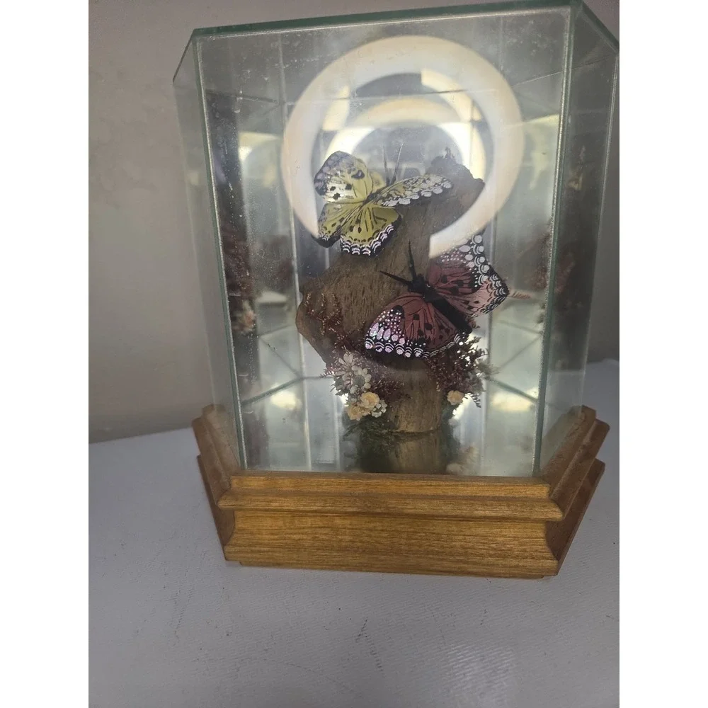 Vintage Glass & Wood Hexagonal Butterfly Taxidermy Diorama Display Yellow Pink