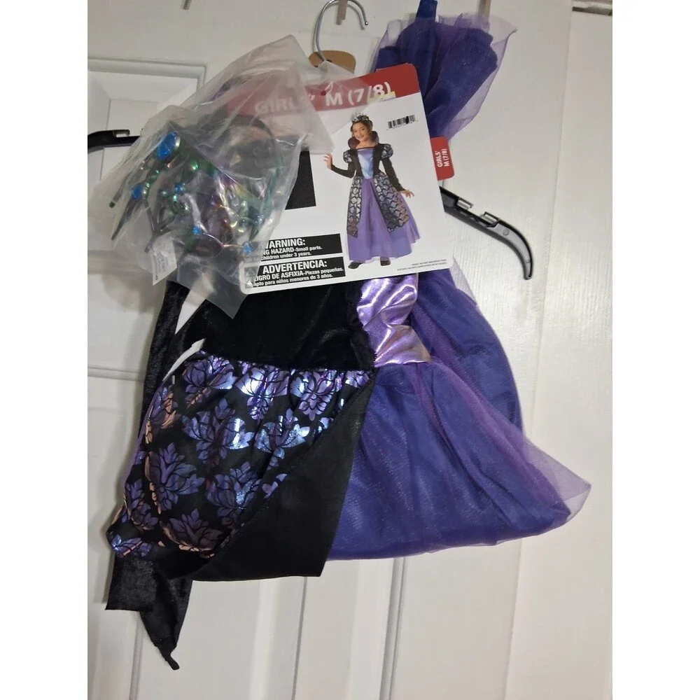 Way To Celebrate dress costume