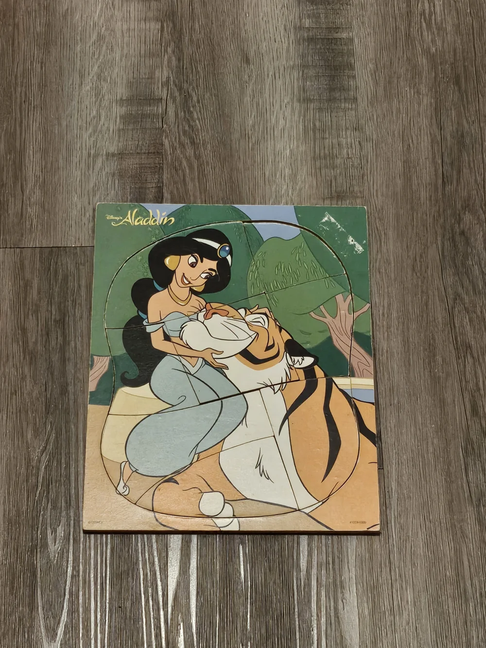 Disney Blue & Green Princess Jasmine with Rajah Wooden Puzzle Panel