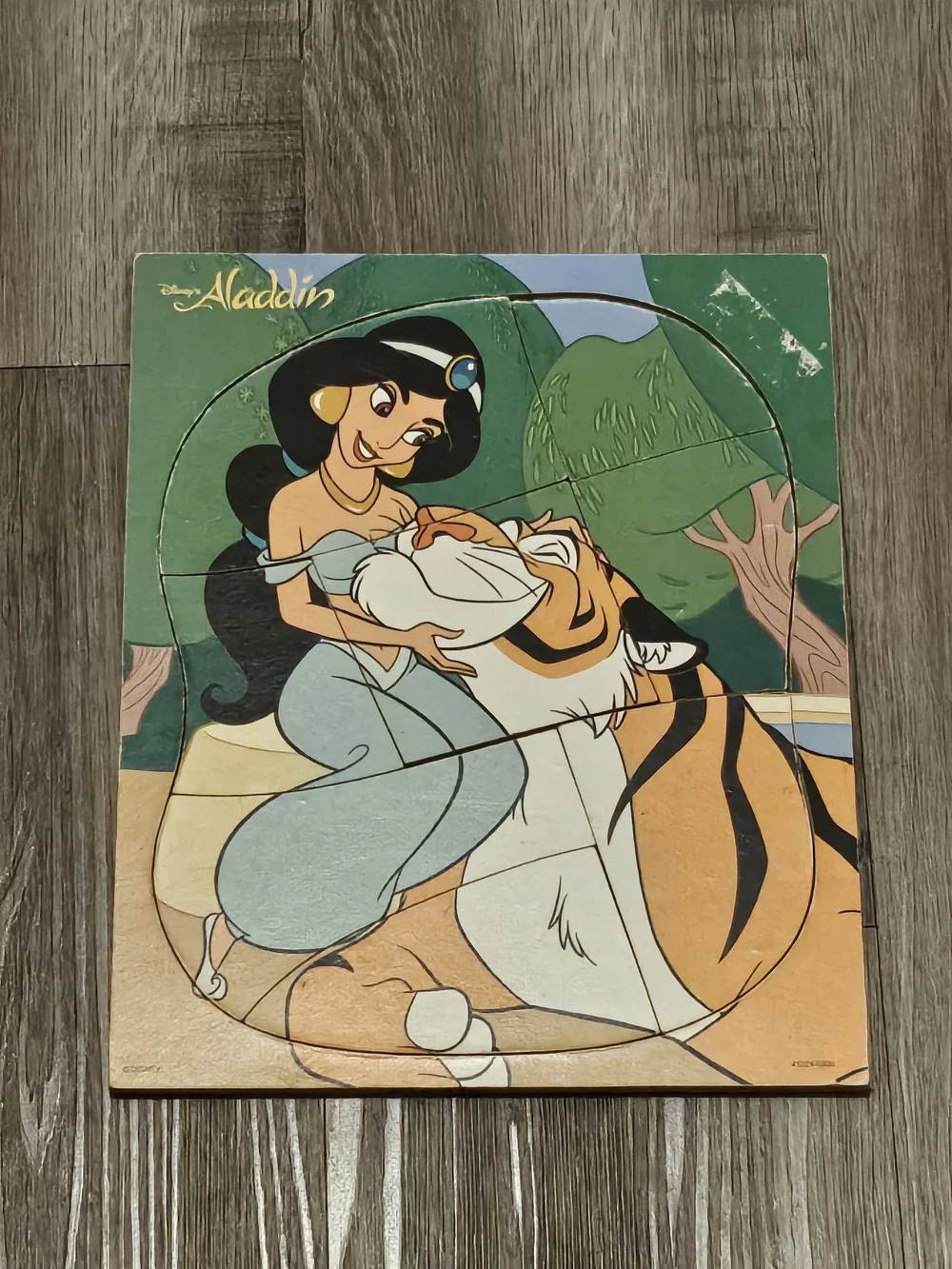 Disney colorful puzzle