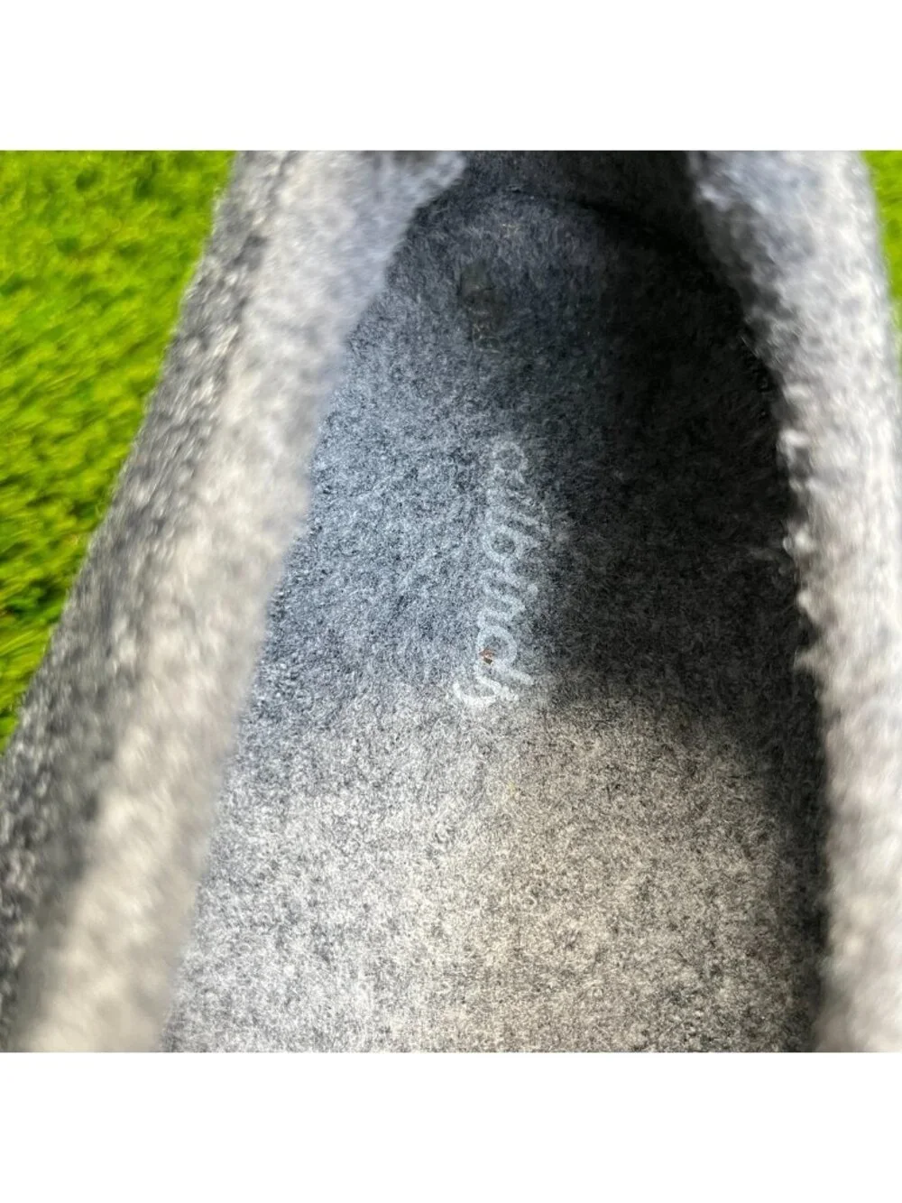 allbirds please review