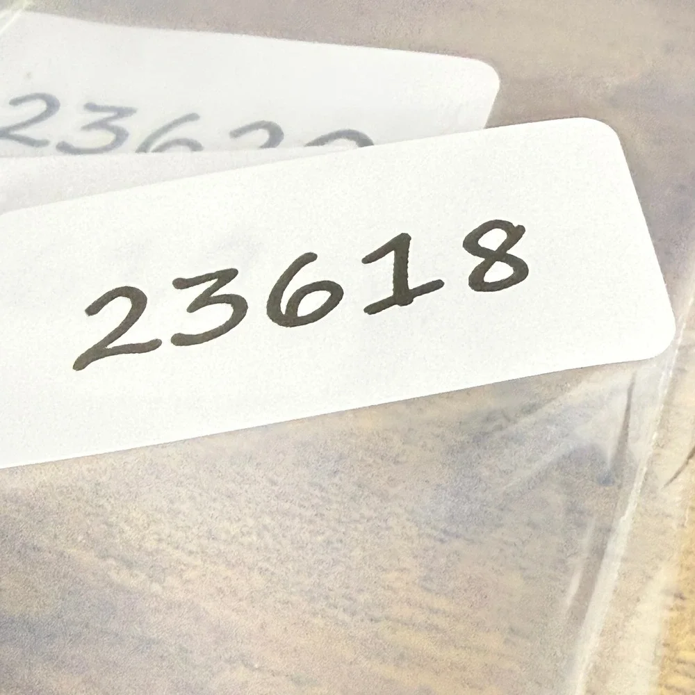 Michael Kors measurements lens