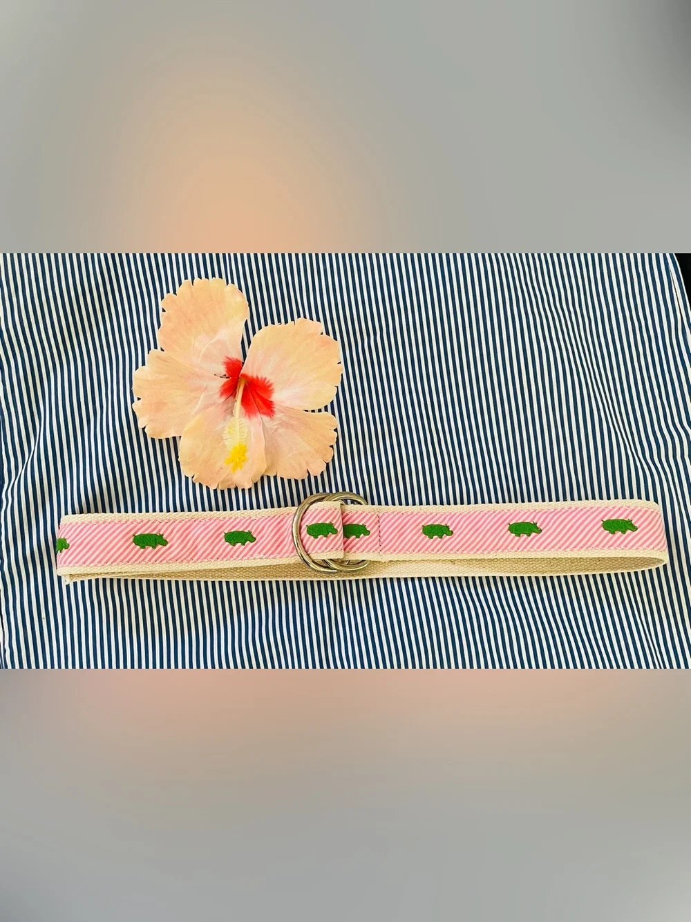J. Crew Pink Striped Belt with Green Embroidered Hippo and Silver Rings
