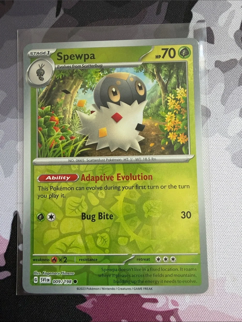 Pokemon mix match