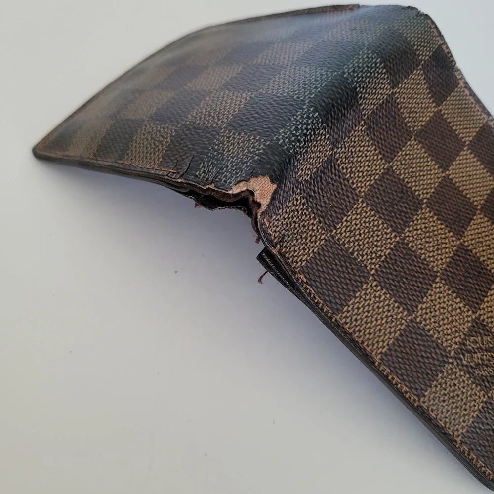 Louis Vuitton brand louis