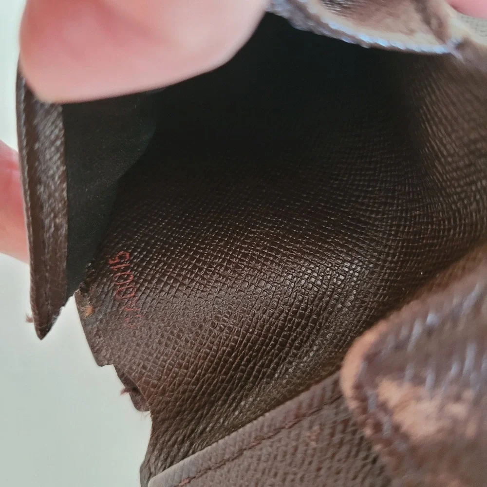 Louis Vuitton brand louis