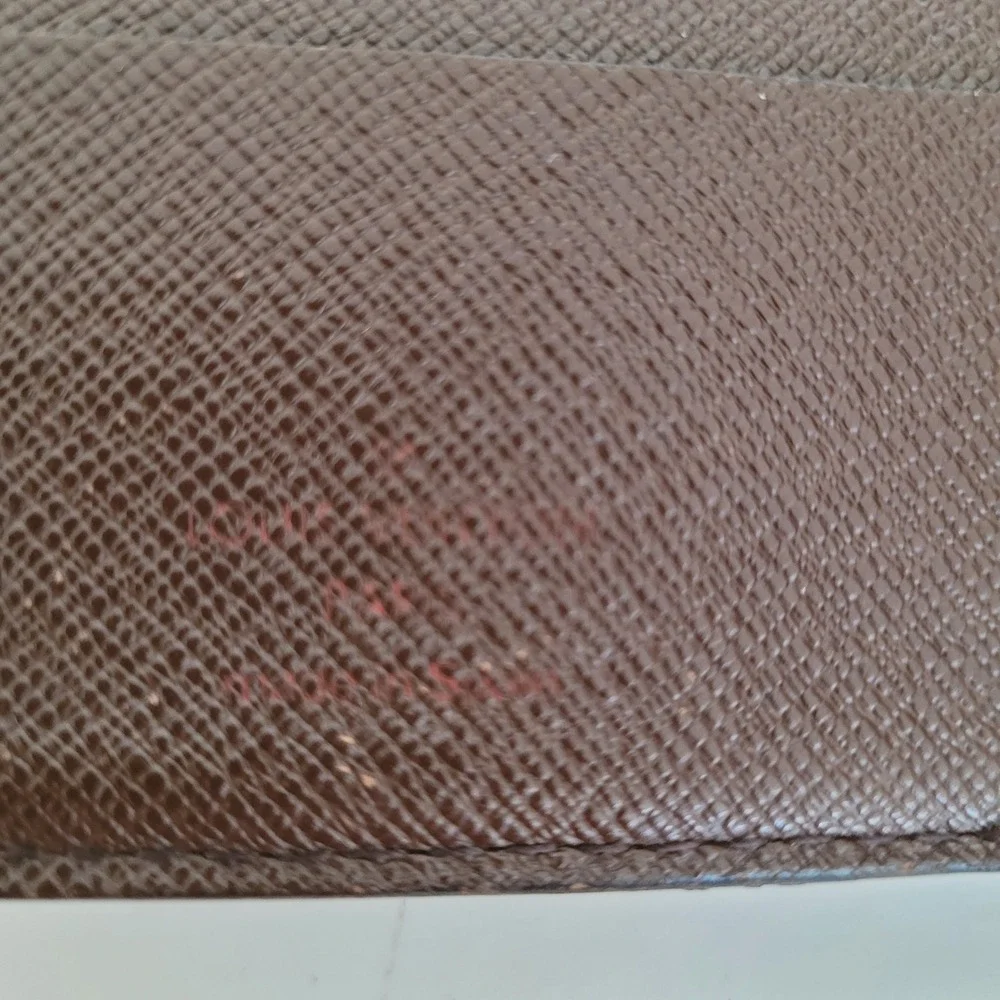 Louis Vuitton brand louis
