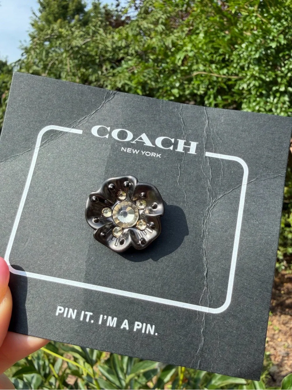 Coach nwt tea