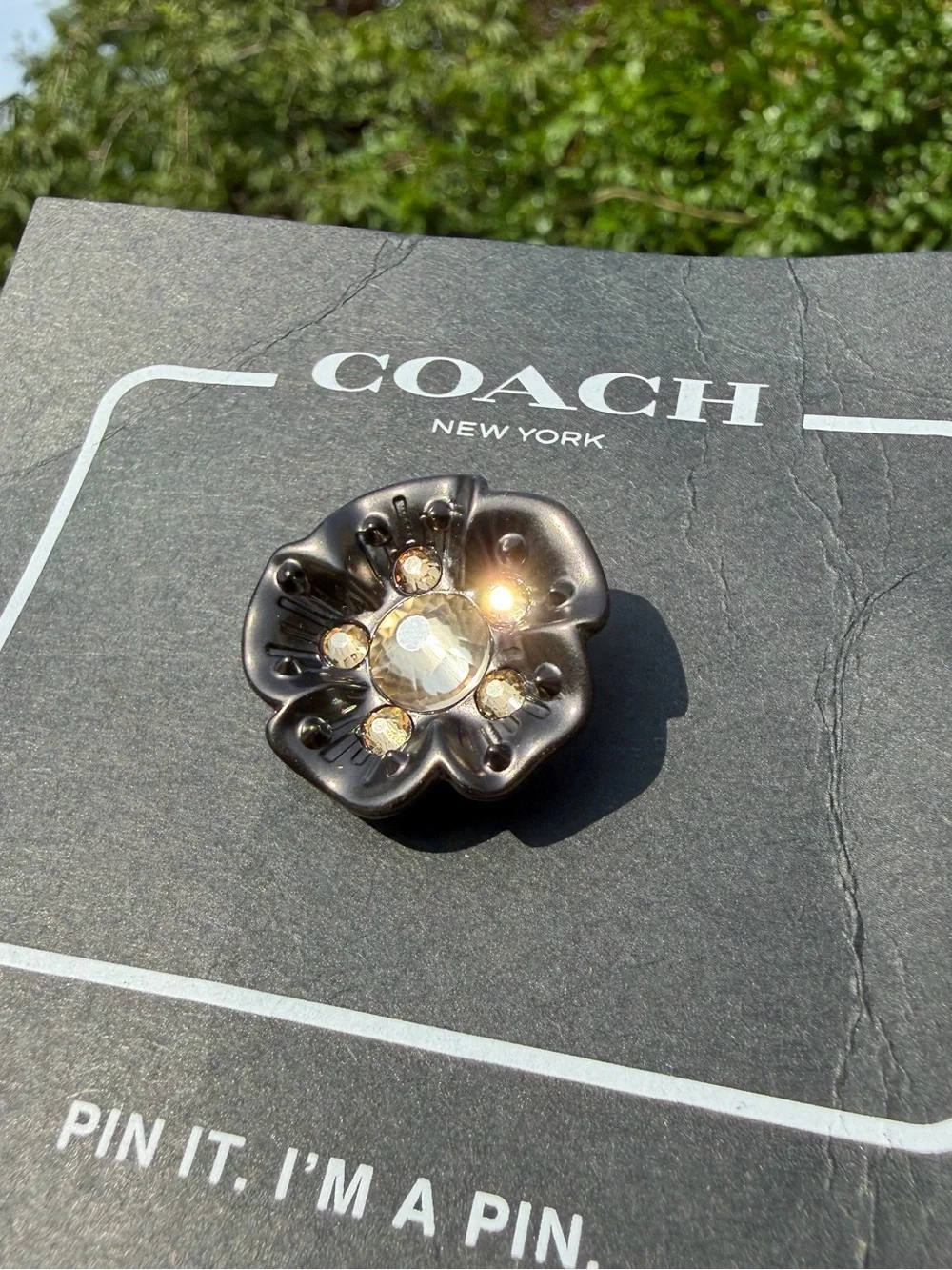 Coach nwt tea