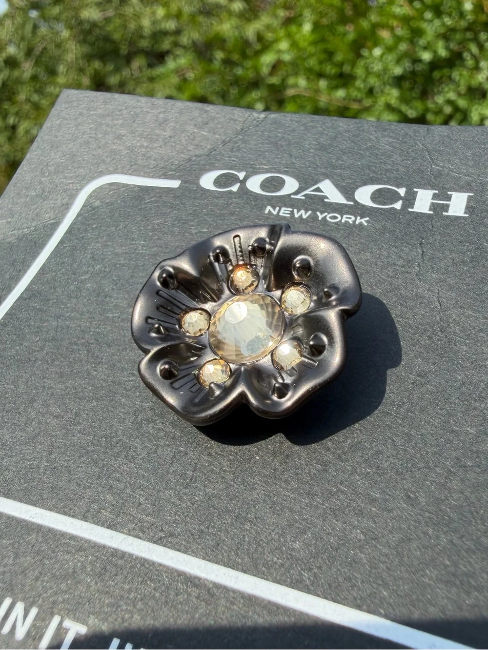 Coach nwt tea