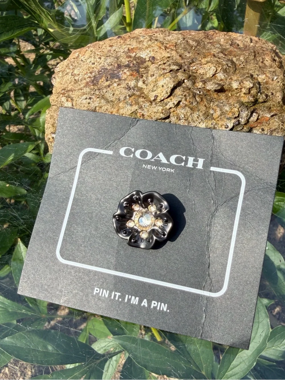 Coach nwt tea