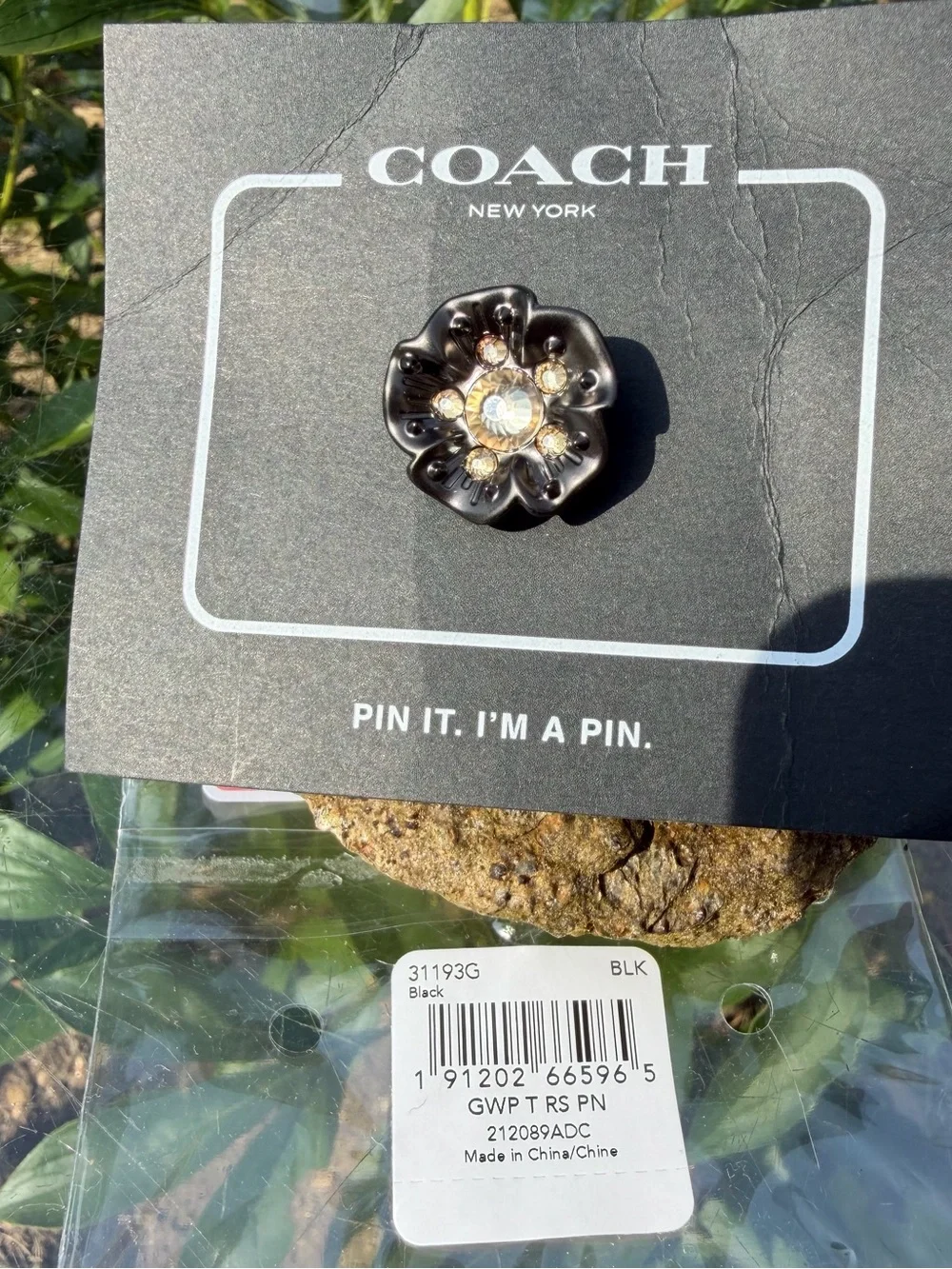 Coach nwt tea