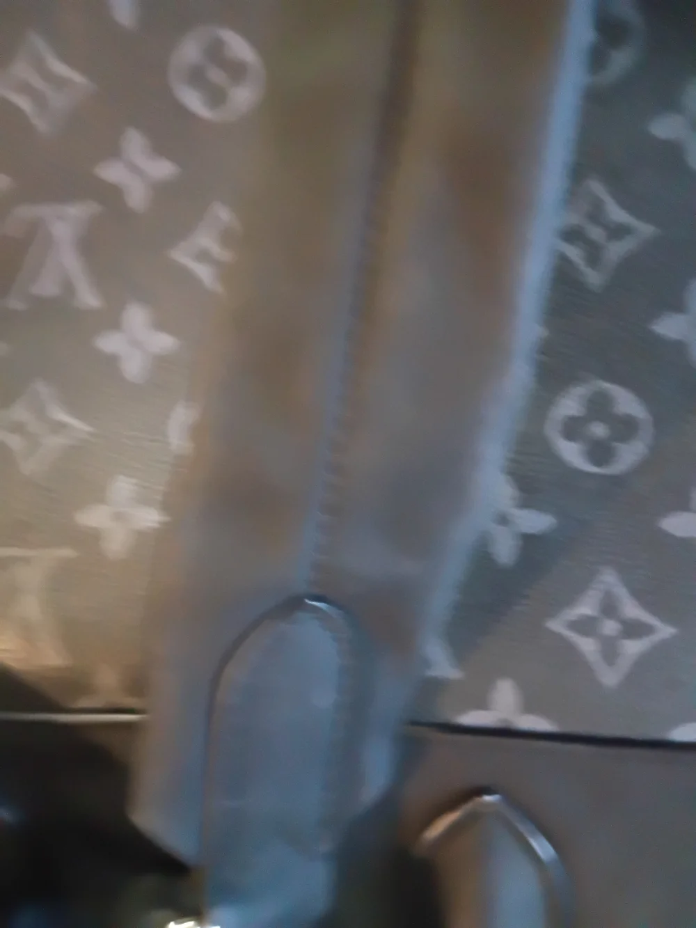 Louis Vuitton sleek louis