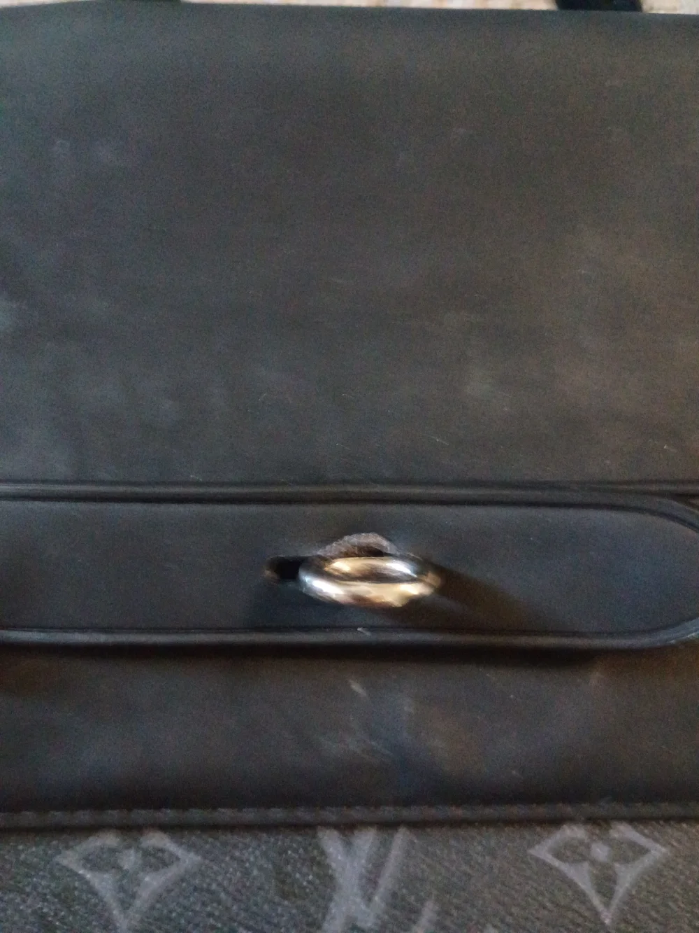 Louis Vuitton sleek louis