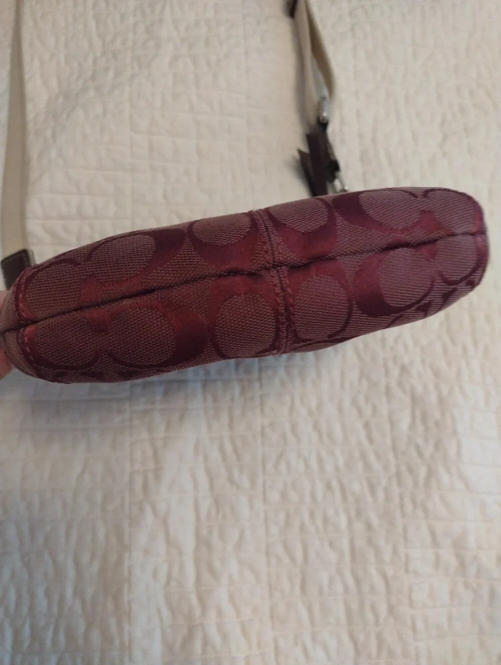 Coach purple signature