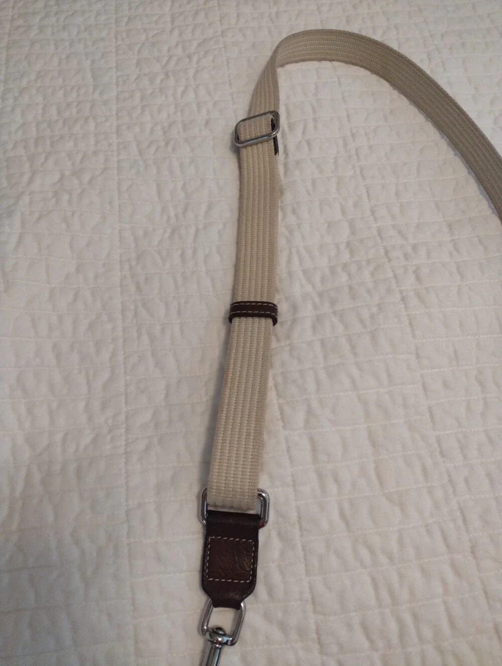 Coach purple signature