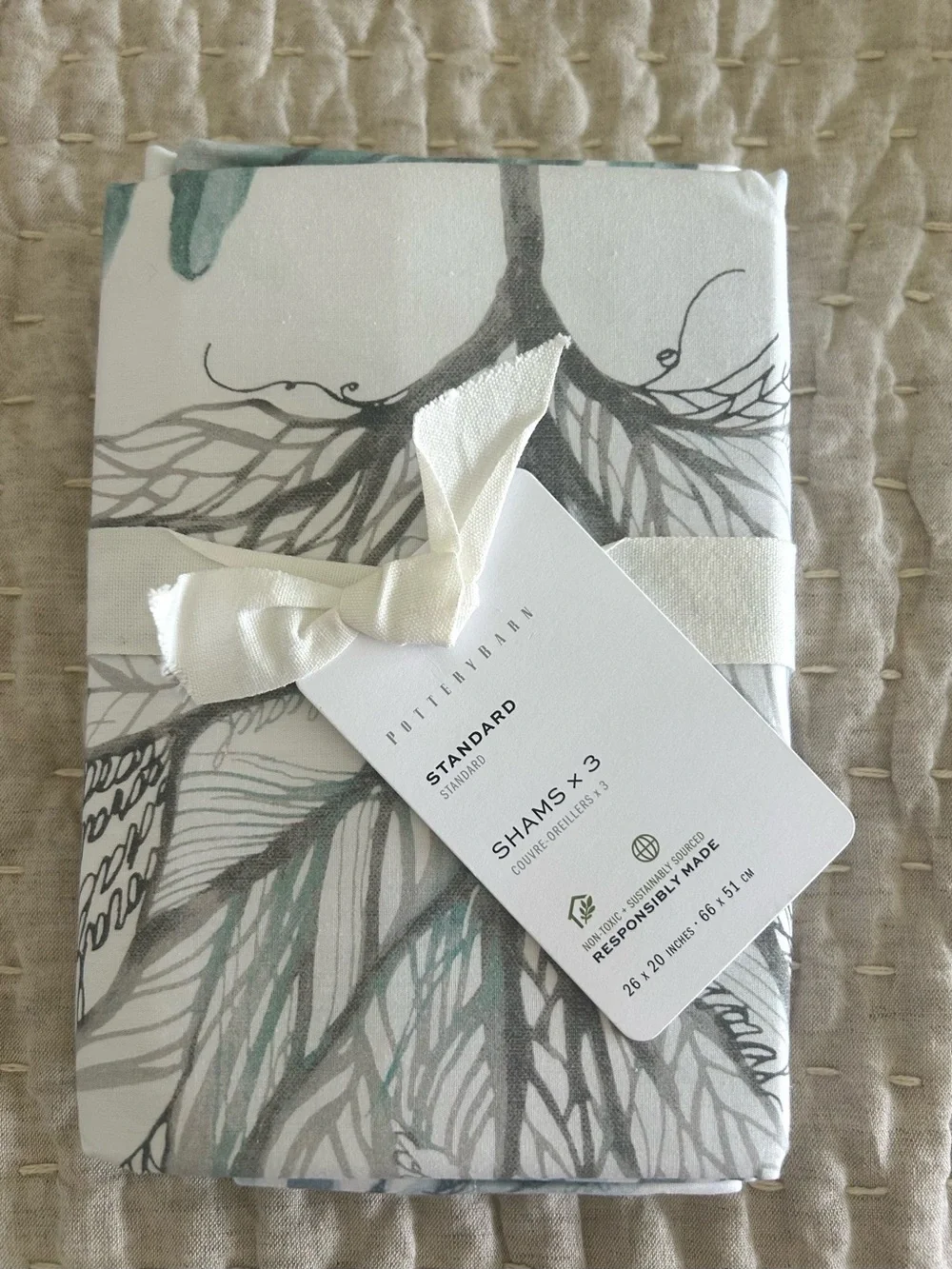 Pottery Barn decorative pillow