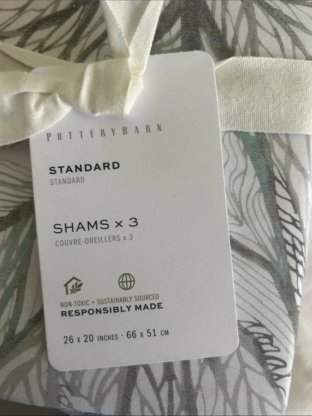 Pottery Barn decorative pillow