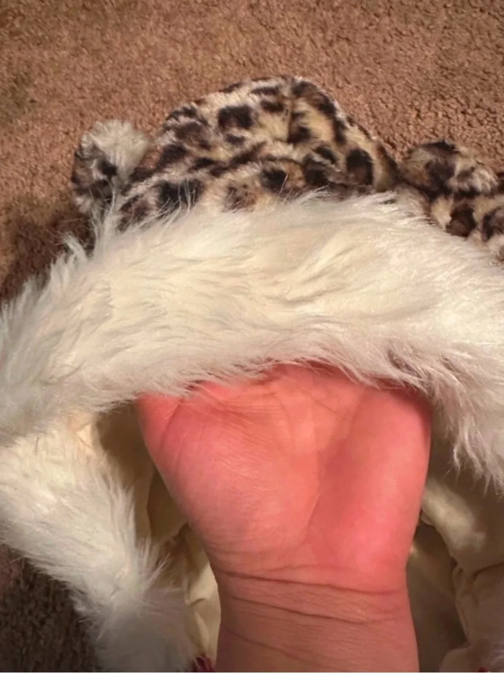 Little Lass bright zipper fur