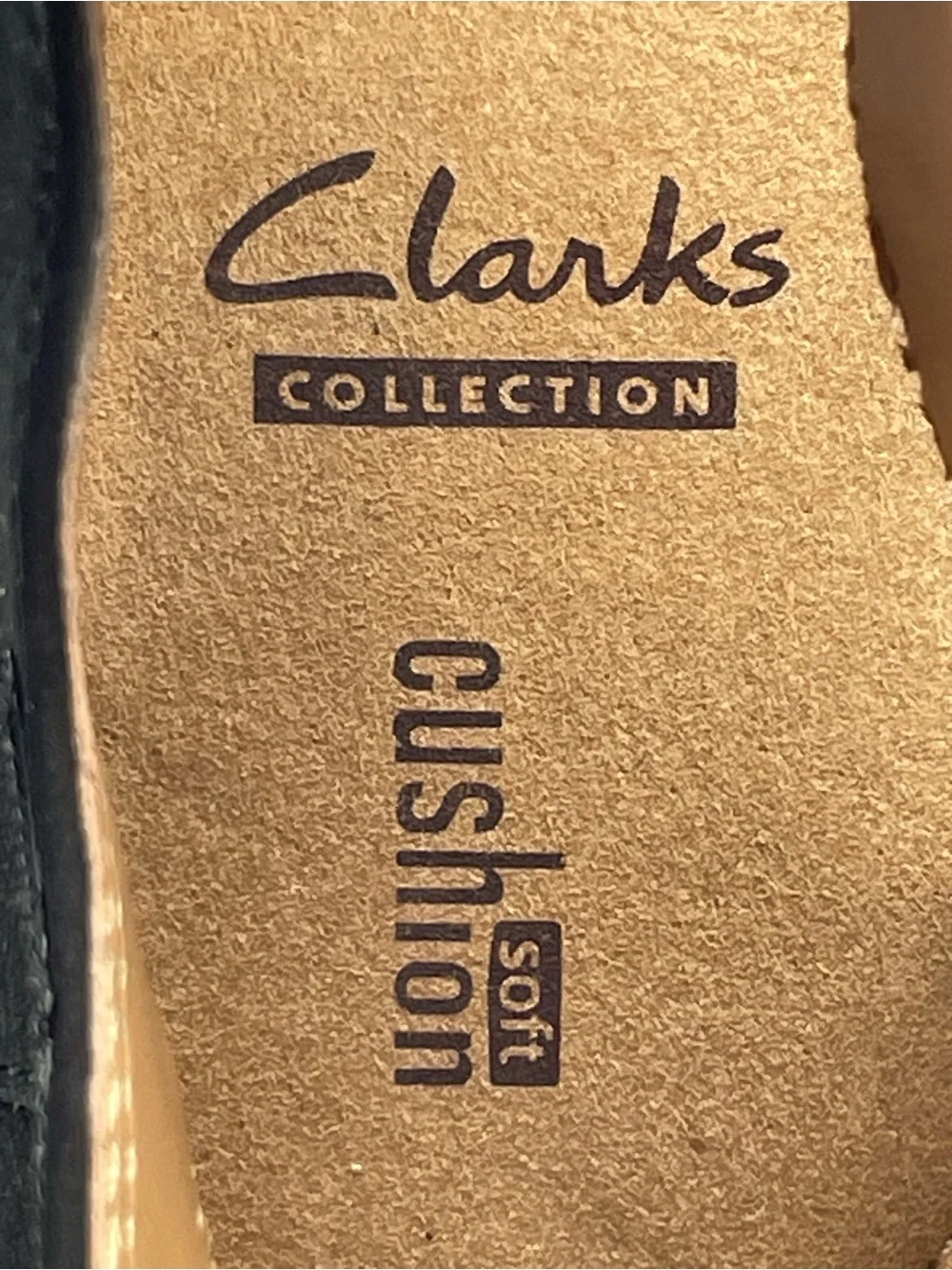 Clarks collection reedly