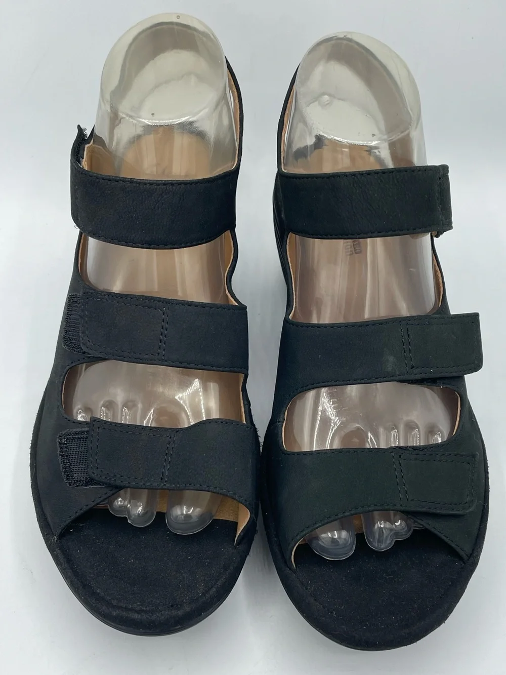 Clarks collection reedly