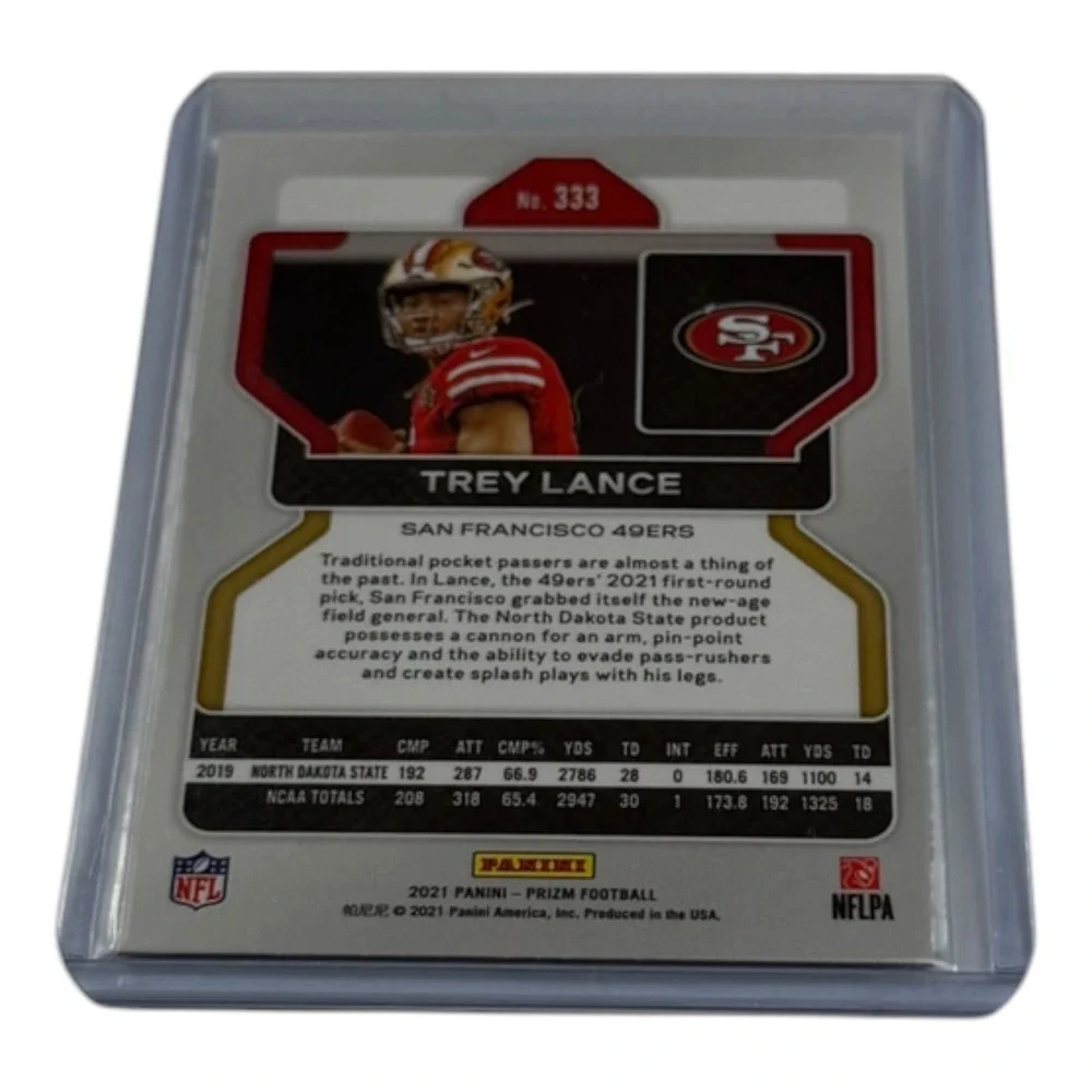 Panini brand series