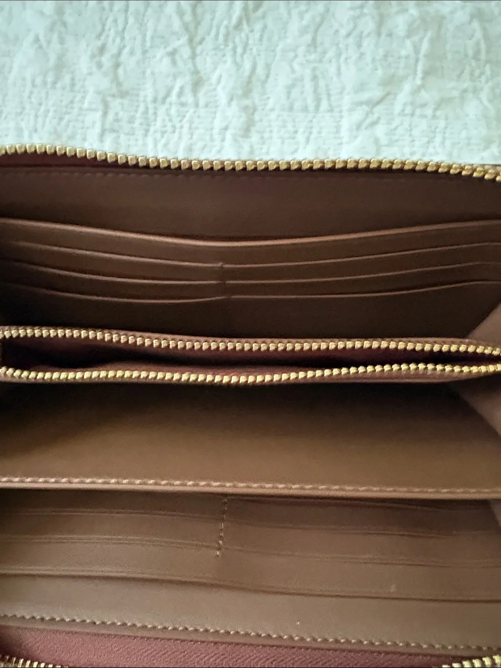 Coach classic signature