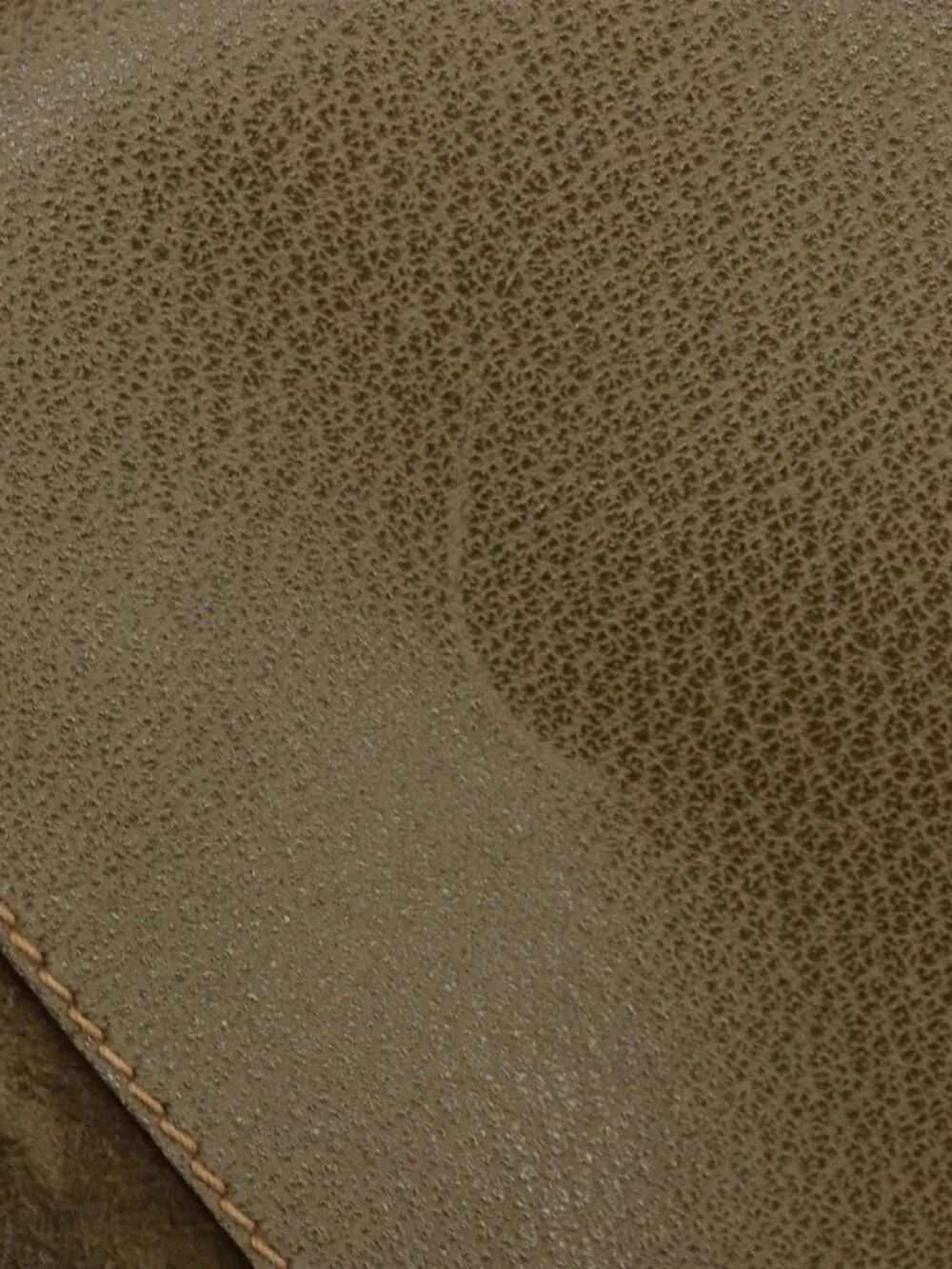 Gucci brand	gucci color	khaki